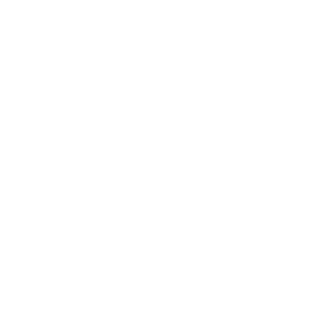 apec logo - octopi agency client