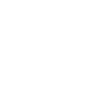 chamseen logo - octopi agency client