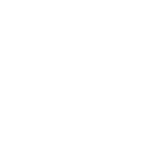 bareskin - octopi agency client