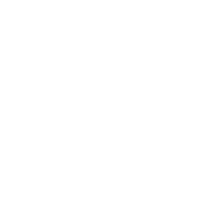 lula's logo - octopi agency client