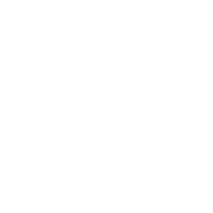 the cage logo - octopi agency client