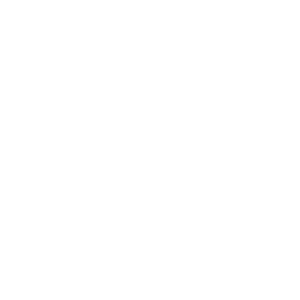 nal logo - octopi agency client