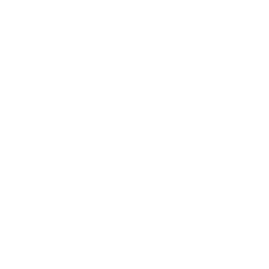 vengo logo - octopi agency client