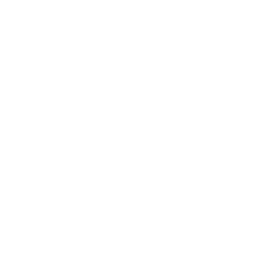 amici logo - octopi agency client
