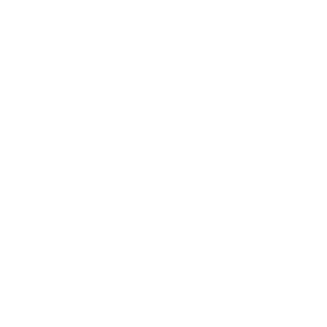 fitlynk logo - octopi agency client