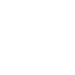 ward logo - octopi agency client