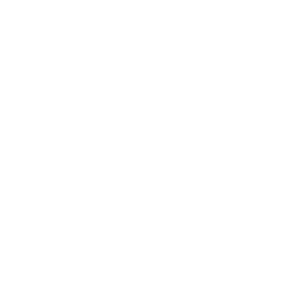 tortue logo - octopi agency client