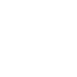smile spa logo - octopi agency client